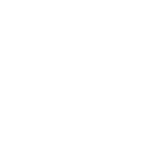 special edition